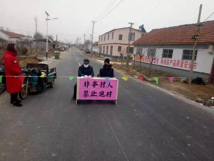 全国新型肺炎最新动态,背景、重要事件与地位概述