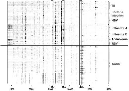 全国新型肺炎最新动态,背景、重要事件与地位概述