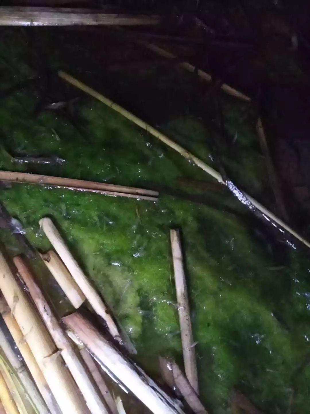 湖北孝感最新事件,学习之光,照亮自信与成就感的源泉