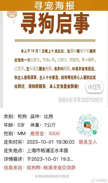 上海狗狗领养最新资讯
