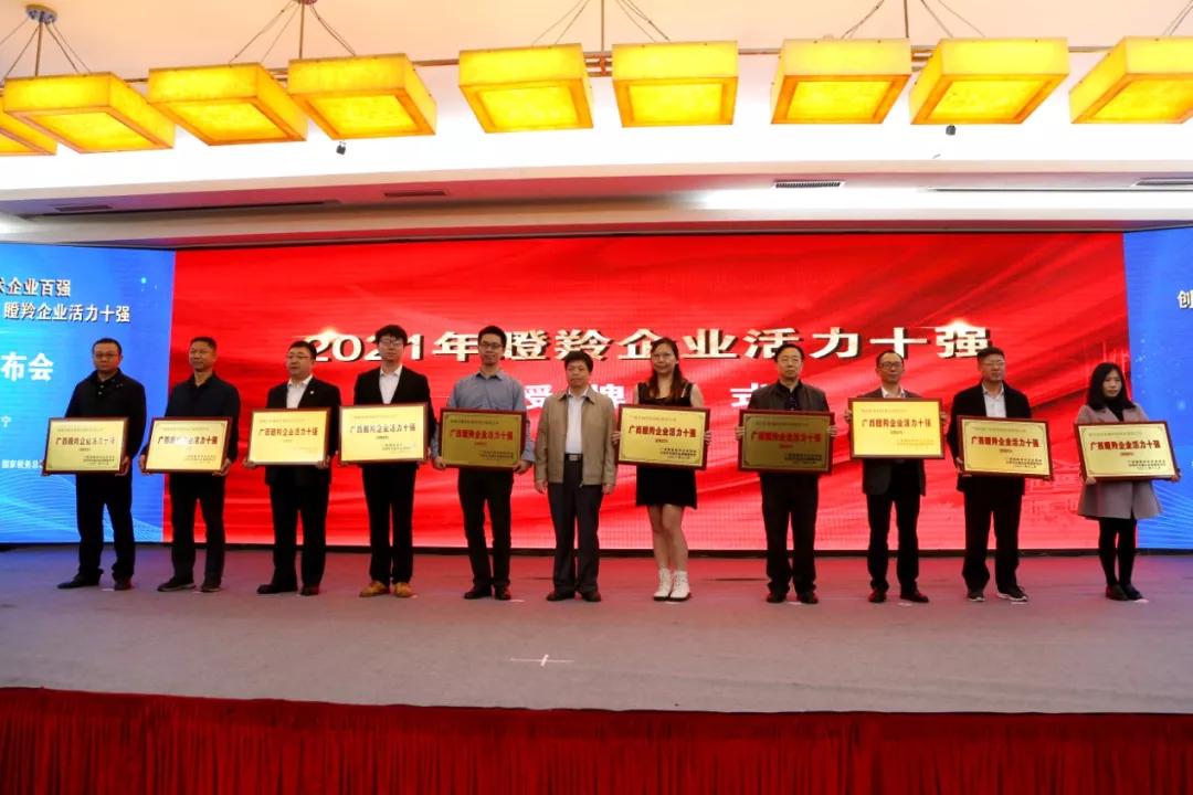 广西最新十强,巷弄深处的隐藏瑰宝揭秘